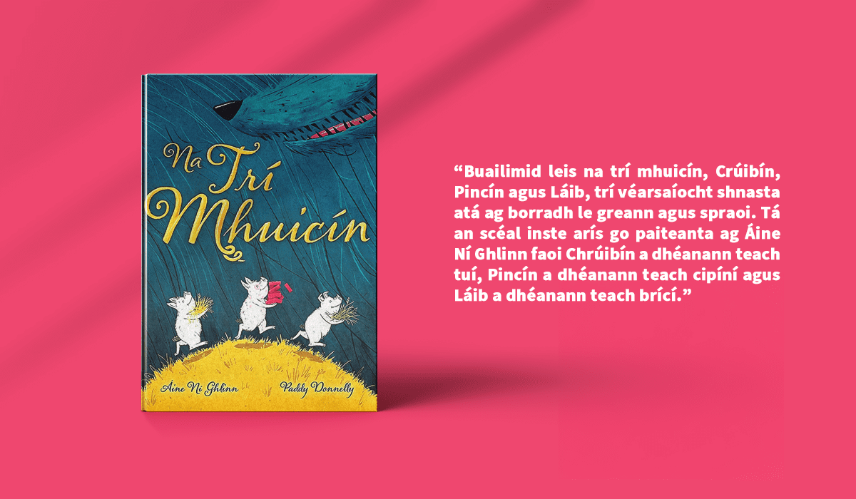 Website Banner (Na Trí Mhuicín GA)