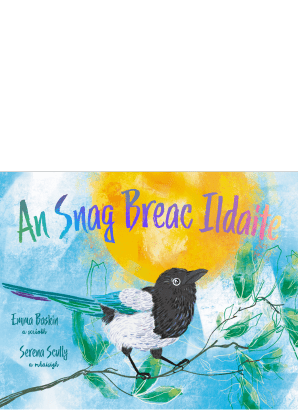 An Snag Breac Ildaite